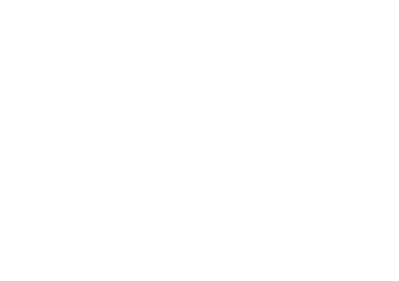W&S
MPU-Beratung GBR